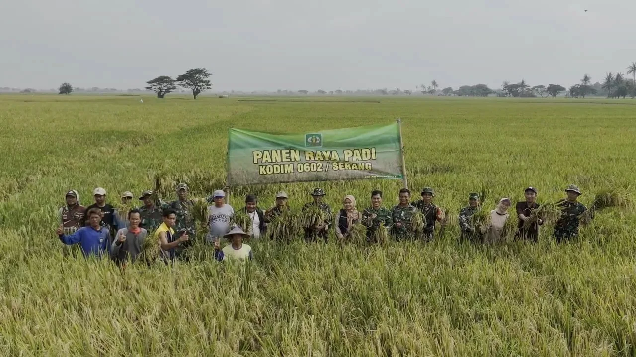 Panen Raya Kodim 0602/Serang: Saat TNI Hadir Menguatkan Ketahanan Pangan dari Desa